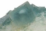 Cubic, Blue-Green Fluorite Crystal Cluster with Phantoms - China #217459-4